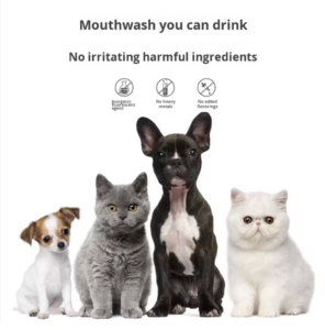 Pet Oral Care - Pet Oral Care