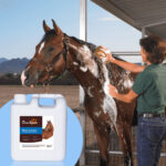 Ultra-Hydrating Shampoo for Horses - Pet Grooming Products - lively-pet.com