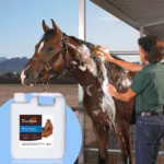 Ultra-Hydrating Shampoo for Horses - image 2