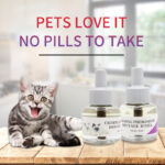 Cat Calming Products Manufacturer | OEM Private Label Pet Wellness - Pet Hygiene & Wellness Products - lively-pet.com