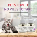 Cat Calming Products Manufacturer | OEM Private Label Pet Wellness - image 2