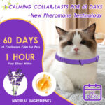 Pet Calming Collar - Pet Hygiene & Wellness Products - lively-pet.com