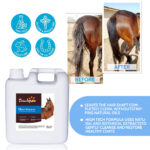 Ultra-Hydrating Shampoo for Horses - Pet Grooming Products - lively-pet.com