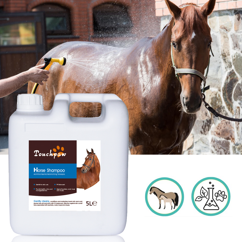 OEM horse shampoo manufacturer for equine care brands