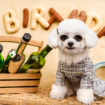 Other Pet Products