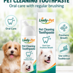 Lively-Pet 100g dog cleaning toothpaste with brush applicator, displayed with a white dog and retail packaging for daily oral care and fresh breath.