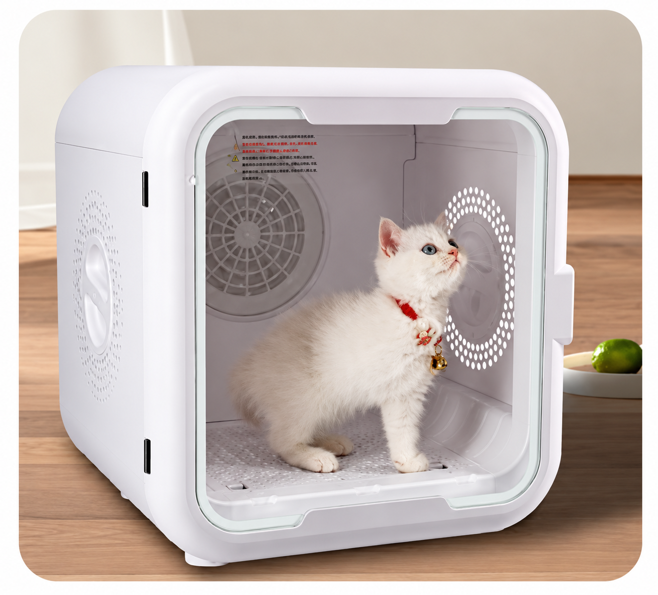 Cat inside a smart pet dryer box